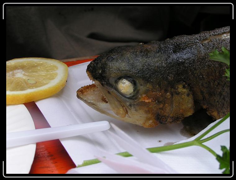 Nächstes Bild